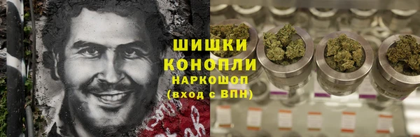 ПСИЛОЦИБИНОВЫЕ ГРИБЫ Баксан