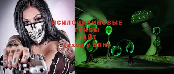 ПСИЛОЦИБИНОВЫЕ ГРИБЫ Баксан