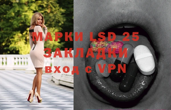 ПСИЛОЦИБИНОВЫЕ ГРИБЫ Баксан