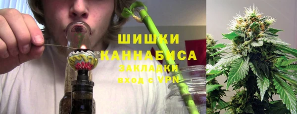 ПСИЛОЦИБИНОВЫЕ ГРИБЫ Баксан